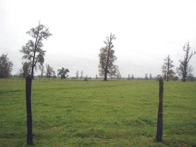 22-may recorrido a la granja Mohr