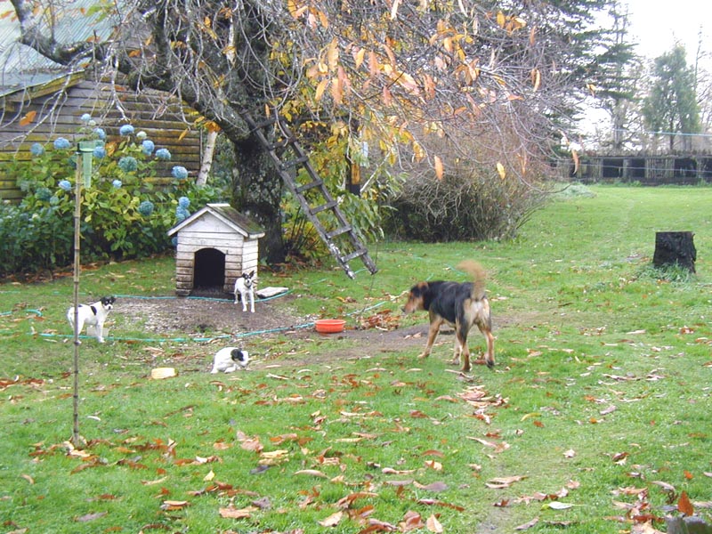 23-may la granja Mohr